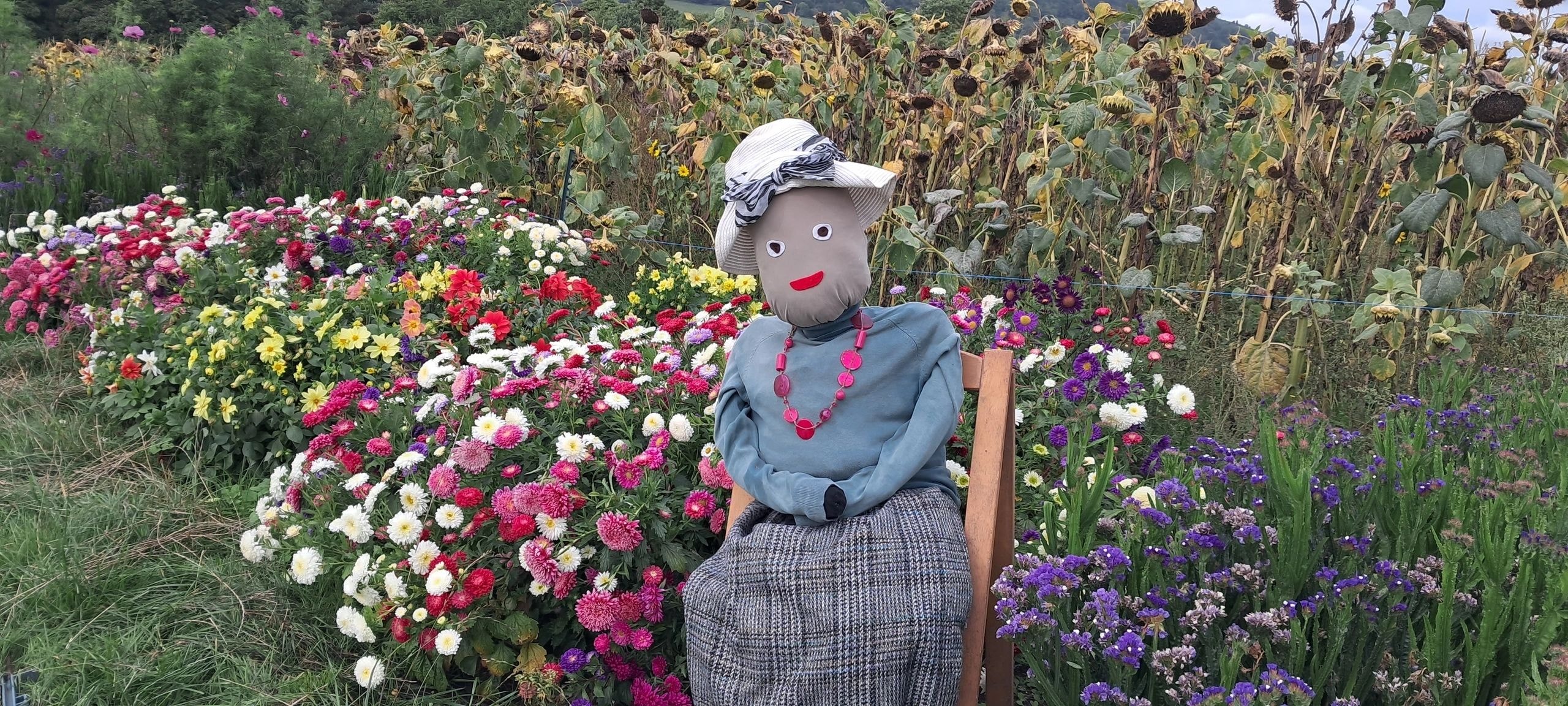 Pumpkins and scarecrows at the patch
