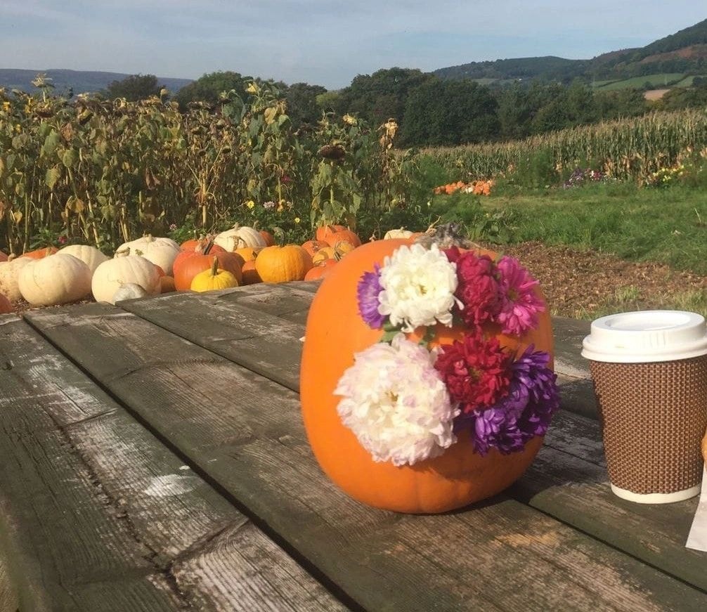 Coffee and refreshments at Green 2 Earth